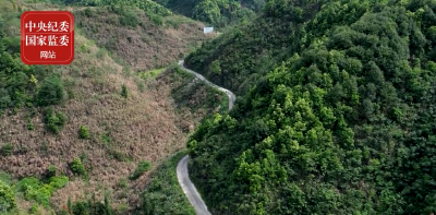 通山：修好农旅融合致富路