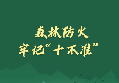 森林防火＂十不准＂，出行游玩请牢记！