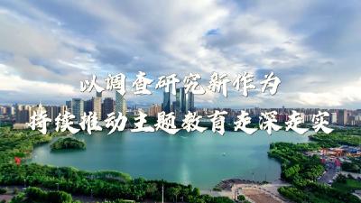 以调查研究新作为持续推动主题教育走深走实