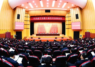 中共咸宁市委六届五次全体会议举行 