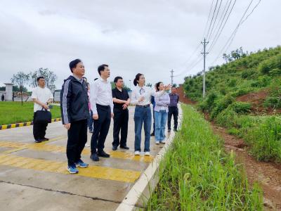 市领导到崇阳咸安调研督导防汛备汛和林长制工作