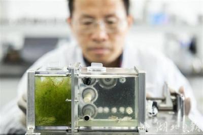 我国空间生态系统技术实现重要突破 “太空鱼缸”正常运行43天创造世界新纪录