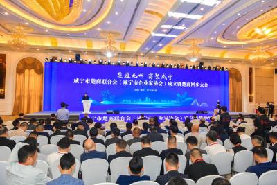 咸宁市楚商联合会（咸宁市企业家协会）成立暨楚商回乡大会举行  汇聚楚商力量 助力咸宁发展