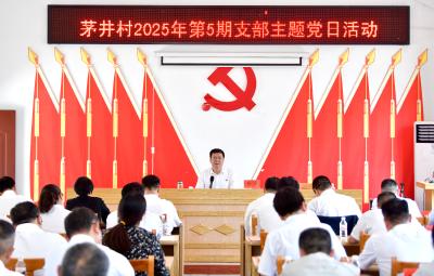 杨军在崇阳县茅井村开展深入贯彻中央八项规定精神学习教育专题党课宣讲辅导 汇聚加快发展正能量 构筑新时代美好明天