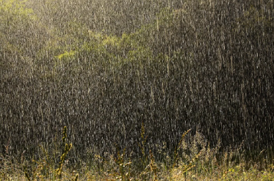 今天早点回家！湖北迎来中雨大雨暴雨＋雷暴大风！