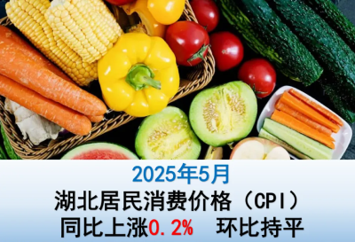 提振消费相关政策持续显效 5月份湖北CPI温和上涨0.2%