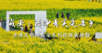 咸安：洁净亮美是吾乡——点滴文明润咸安系列视频展播⑩