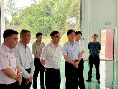 朱庆刚到嘉鱼县调研防汛与项目建设工作情况