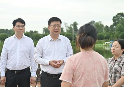 杨军到嘉鱼调研农村集体“三资”清理盘活和“群腐”问题整治工作 盘活“三资”家底　为乡村振兴注入不竭动力