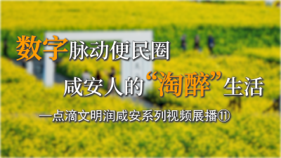 数字脉动便民圈 咸安人的“淘醉”生活——点滴文明润咸安系列视频展播⑪