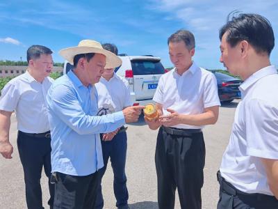周锋到嘉鱼县调研时强调：因地制宜发展特色产业 深入推进乡村全面振兴