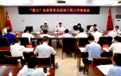 杨军在“四上”企业培育及进规入限工作推进会上要求：服务企业做大做强 夯实经济发展底盘