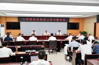 周锋主持召开大财政体系建设工作专题会议 着力提升国有“三资”盘活利用质效 持续为经济社会高质量发展增添新动能