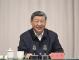 习近平：全面贯彻新时代党的治藏方略 努力建设团结富裕文明和谐美丽的社会主义现代化新西藏