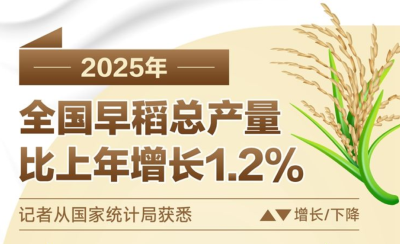 2025年全国早稻总产量比上年增长1.2% 