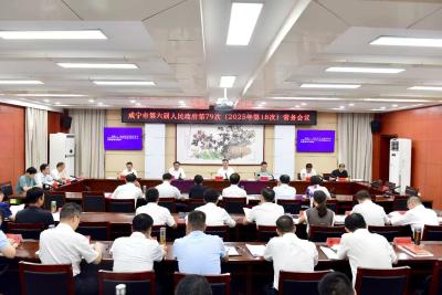 杨军主持召开市政府常务会议 守牢安全稳定底线 护航高质量发展