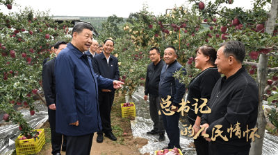 总书记的人民情怀丨“以加快农业农村现代化更好推进中国式现代化建设”