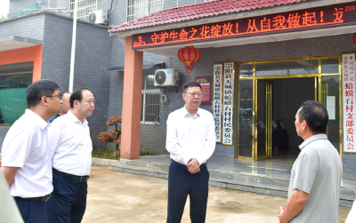 杨军到崇阳调研巩固拓展脱贫攻坚成果质效工作 做实做细“五访五看” 切实提升帮扶质效