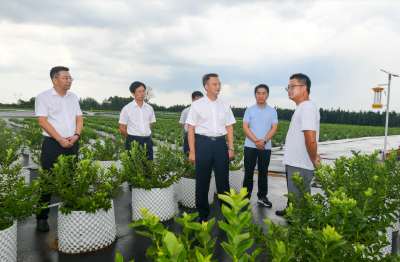 周锋到咸安区横沟桥镇开展人大代表行动工作 广泛深入察民情听民声汇民意聚民智 为更好助力全省支点建设贡献更大力量