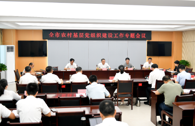 周锋主持召开全市农村基层党组织建设工作专题会议 持续强化党建引领 促进乡村全面振兴
