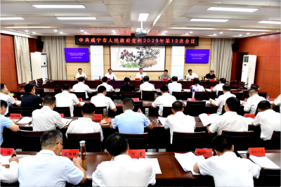 杨军主持召开市政府党组会议 强化思想引领 扛牢发展责任