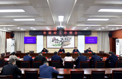 杨军专题研究市政府重点工作 精准发力 务求实效 全力以赴完成全年目标任务