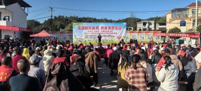 咸宁通山洪港镇：弘扬时代新风 共筑美好生活