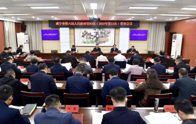 杨军主持召开市政府常务会议 强作风提效能 抓改革促发展