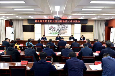 杨军在省经济责任审计反馈问题整改工作推进会上要求 以审计整改实际成效促发展优环境强治理