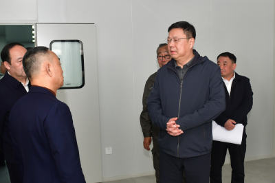 杨军到赤壁调研督导项目建设并开展巡林工作 牢牢守住安全底线 激活县域发展动能