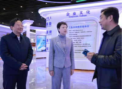 张远梅到通城县调研时要求 强龙头 补链条 聚集群