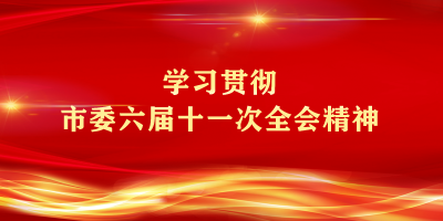 【专题】学习贯彻市委六届十一次全会精神