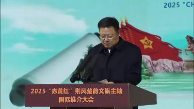 市委副书记、市长杨军这样推介咸宁文旅