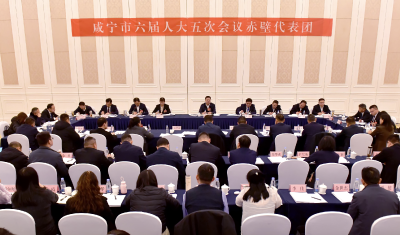 杨军参加咸宁市六届人大五次会议赤壁代表团审议时提出 以增长极建设为统领 推动高质量发展取得更大成效