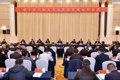 周锋参加市六届人大五次会议咸安代表团审议时提出 全面提升中心城区首位度 切实当好增长极建设排头兵