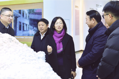 张金安到通城调研时要求：为县域经济高质量发展提供坚强组织保证