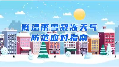 低温雨雪凝冻天气防范应对指南