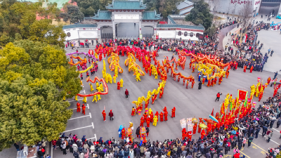 湖北省2026年春节假日前五天全省文化和旅游市场情况