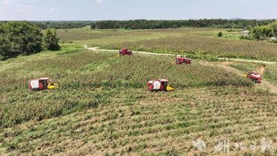 《湖北日报》头版头条聚焦咸安：林耕互换让咸安新增万亩连片粮田 撂荒巴掌田成了种植大户“抢手货”