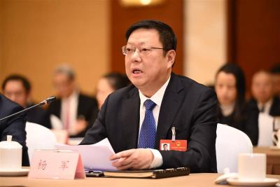 全国人大代表、咸宁市委副书记、市长杨军：让蔬菜园成为富民绿色银行