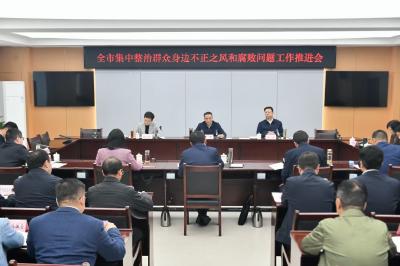 周锋在全市集中整治群众身边不正之风和腐败问题工作推进会上强调 完善责任体系 优化方式方法 推动集中整治工作走深走实