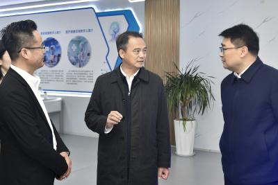 周锋到崇阳县调研督导全省、全市“新春第一会”精神贯彻落实情况时强调：持续营造风清气正政治生态 努力开创高质量发展新局面