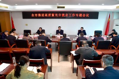 杨军专题研究推进高质量充分就业工作 夯实就业民生之本 筑牢高质量发展之基