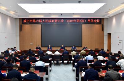 杨军主持召开市政府常务会议 更好统筹发展和安全 奋力实现“十五五”良好开局