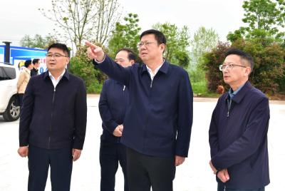 杨军到学习教育联系点天城镇调研 牢固树立和践行正确政绩观 推动高质量发展行稳致远