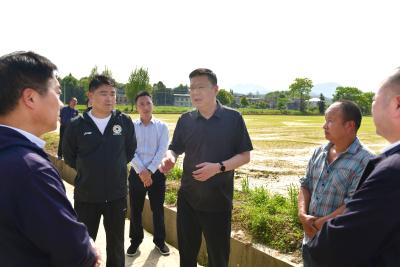 杨军在崇阳调研时要求 筑牢粮食安全根基 办好群众身边实事