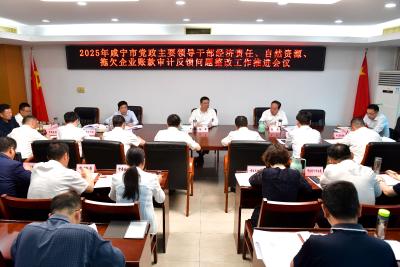 杨军专题研究审计反馈问题整改工作 以高质量审计整改成效助力经济社会高质量发展