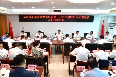 杨军专题研究全市国资国企领域突出问题、开发区腐败乱象专项整治工作 打好专项整治攻坚战 全力护航高质量发展