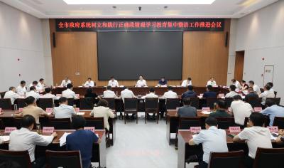 杨军在全市政府系统树立和践行正确政绩观学习教育集中整治工作推进会上要求 切实提高思想认识 扎实做好整改整治