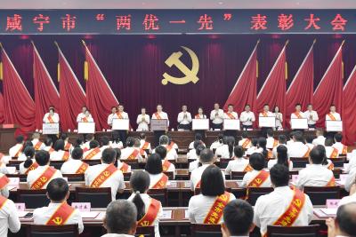 咸宁市“两优一先”表彰大会举行